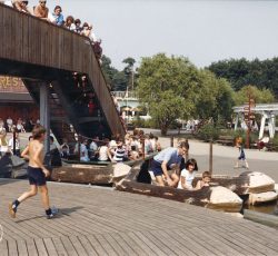 wildwaterslide03